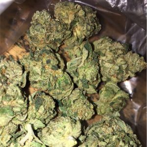 Kup Girl Scout Cookies Chwast Polska