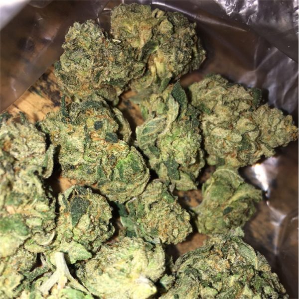 Kup Girl Scout Cookies Chwast Polska