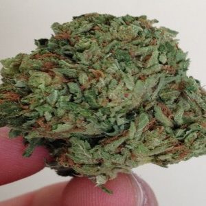 OG Kush na sprzedaż w Polska