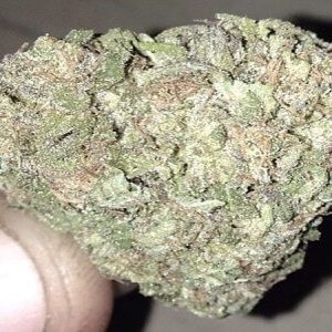 Kup White Widow klasa A Polska
